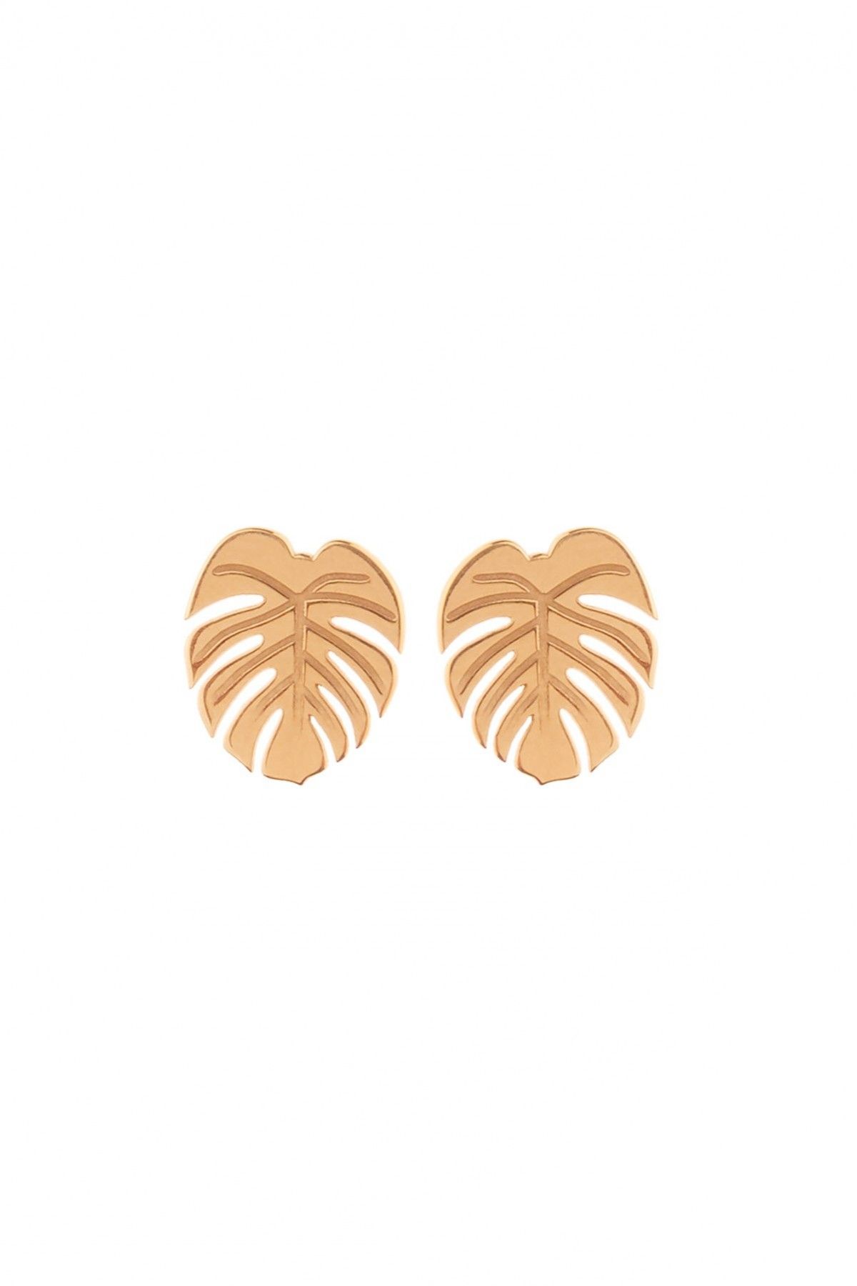Palm Earrings