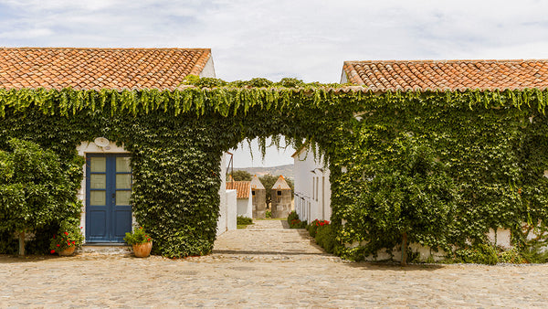 Whitewashed farm buildings of São Lourenço do Barrocal hotel near Monsaraz, Alentejo