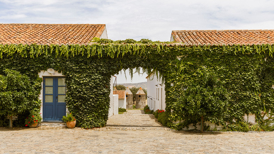 Whitewashed farm buildings of São Lourenço do Barrocal hotel near Monsaraz, Alentejo